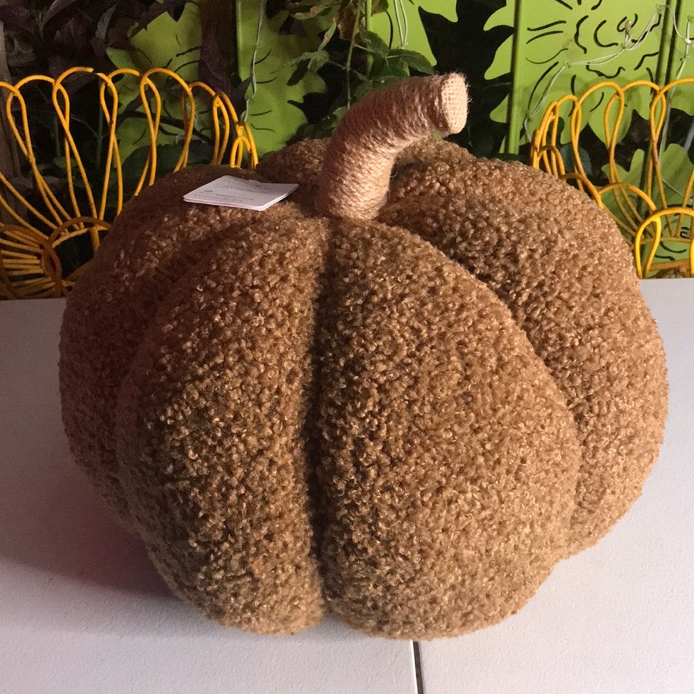Pottery Barn cozy pumpkin pillow SOLD OUT!